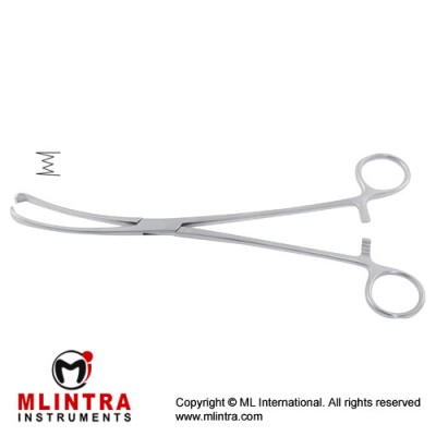 Teale Tenaculum Forcep 3 x 4 Teeth Stainless Steel, 23.5 cm - 9 1/4" Teale Tenaculum Forcep 3 x 4 Teeth Stainless Steel, 23.5 cm - 9 1/4"